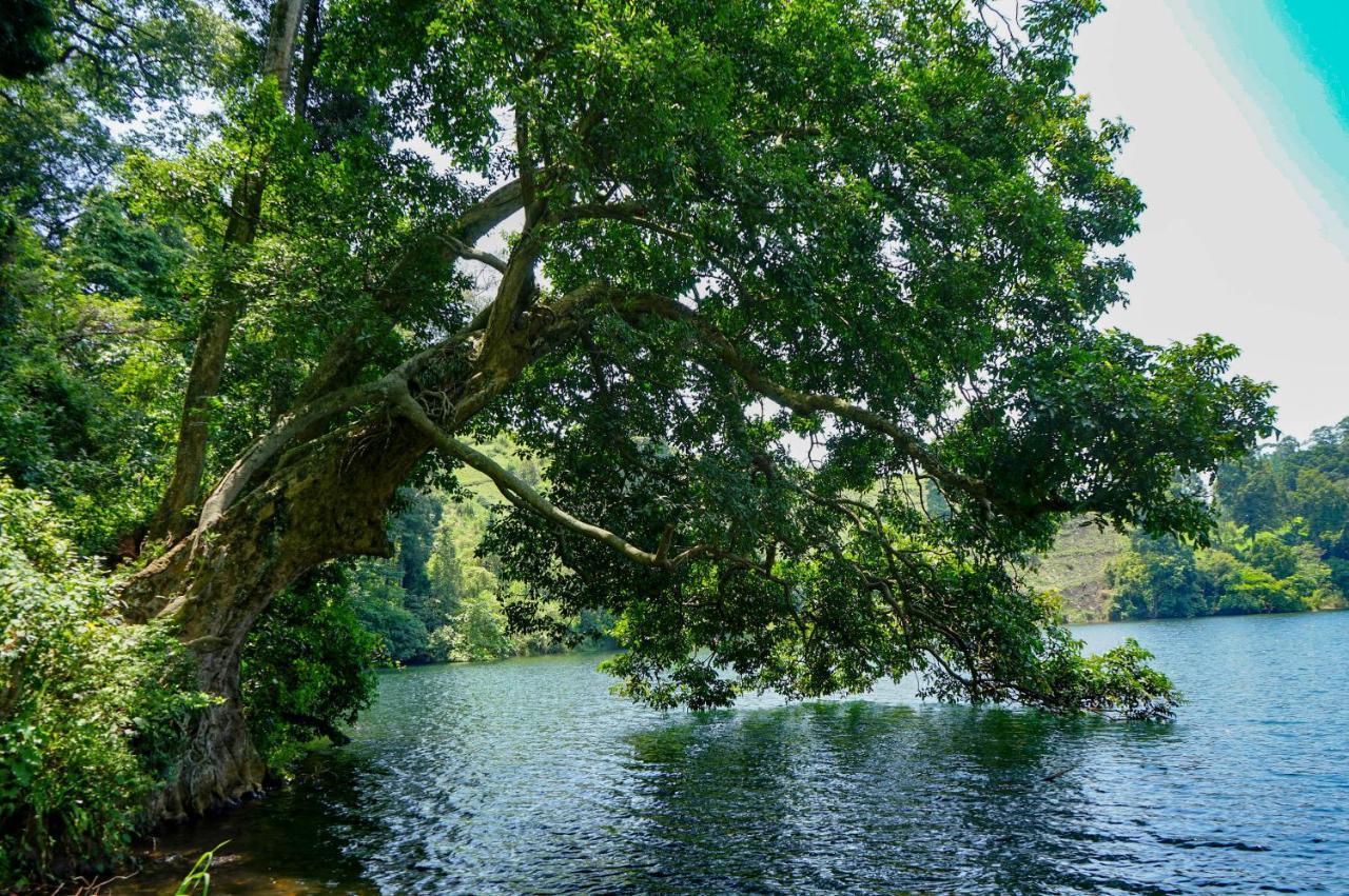 Lake Nyamirima Cottages Fort Portal Exteriér fotografie